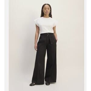 Everlane The Pleated Easy Wide Leg Chino Pants Size 12 Organic Cotton Black